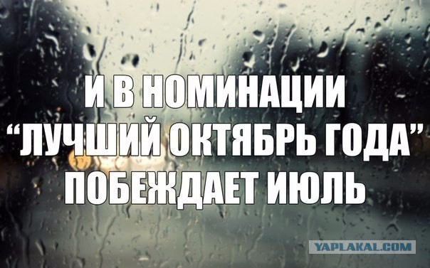 Наконец-то летняя жара!