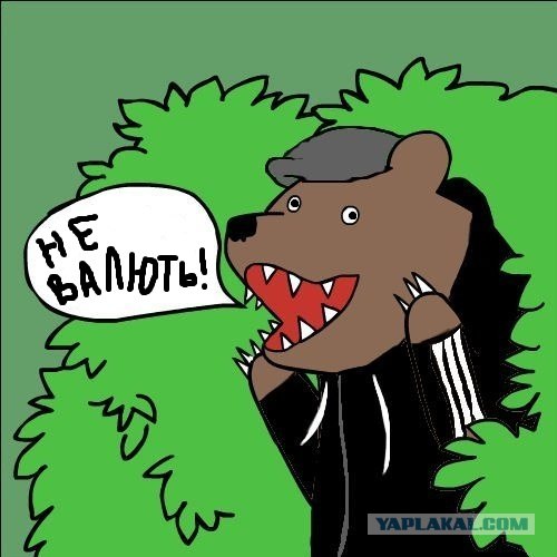 Тазы ВАЛЯТ!