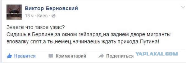 Беженцы закидиывают дома немцев камнями