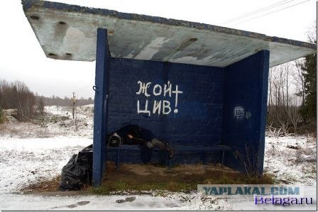 21 июня Виктору Цою исполнилось бы 50 лет