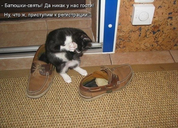 Прикольные картинки