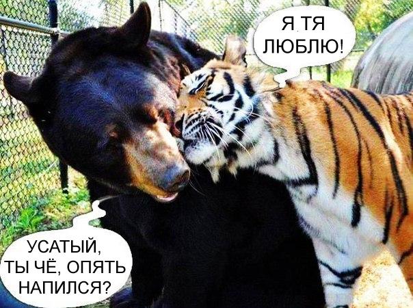 Подборка прикольных фото на пятницу