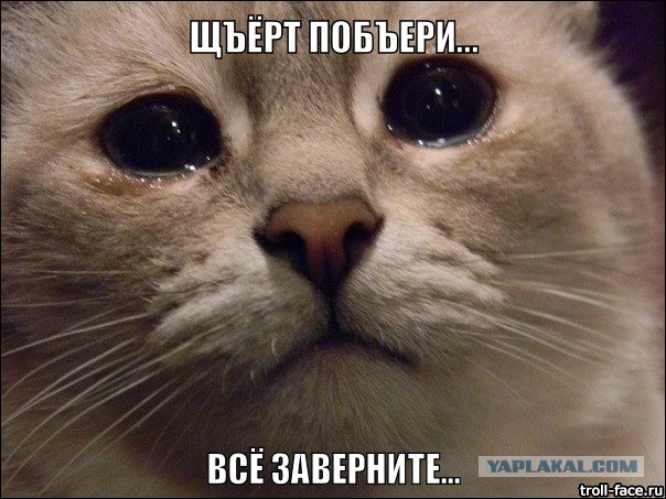 Первый этап конкурса "Кулинар-2015" (Опытные)