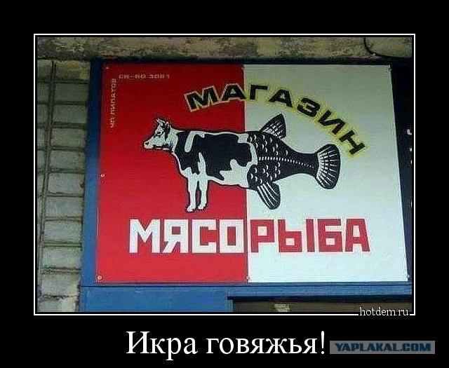 Абсурдный юмор
