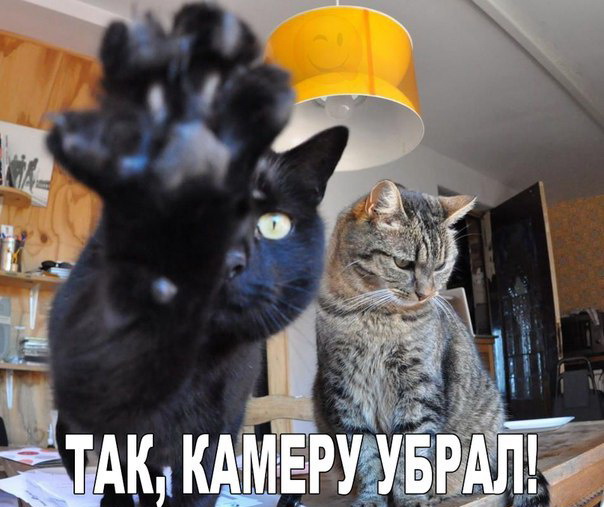 Веселые картинки
