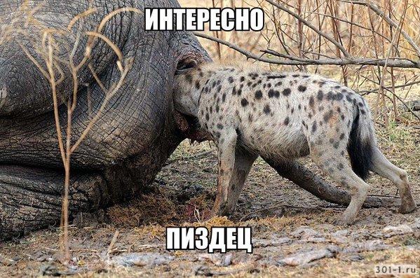 Содрогнется европа. И падут империи...
