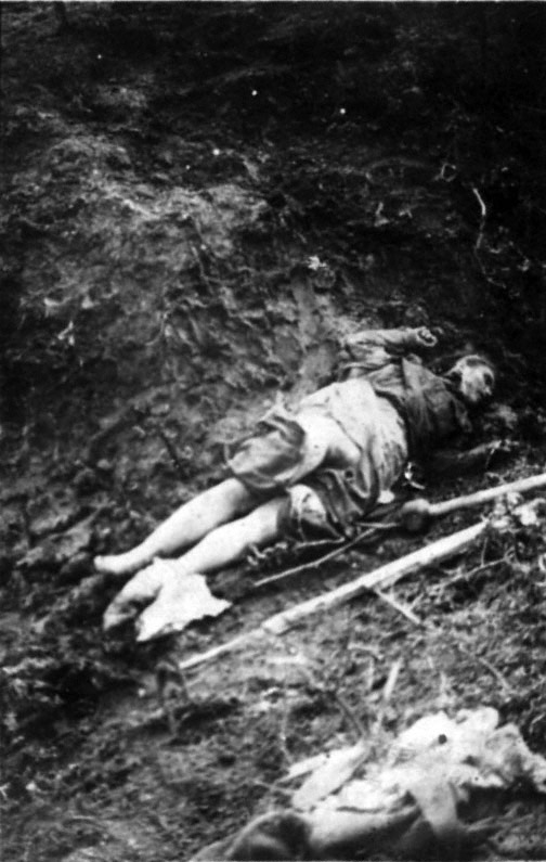 1941 год глазами немцев
