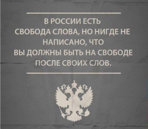 Вице-спикер Госдумы призвал пресекать шутки над патриотизмом в соцсетях
