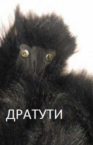 Почему Бутан самая приятная страна в Азии?