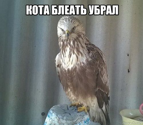 Вести с полей