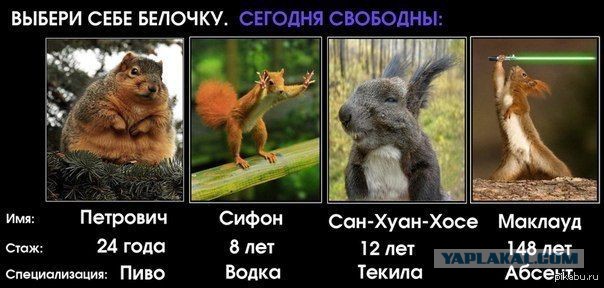 Креизи продолжает плавить мозг ЯПовцам