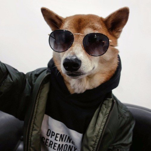 Смешные картинки