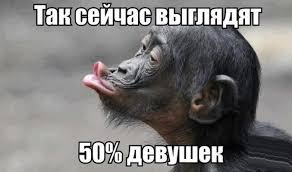 Уровень IQ ..