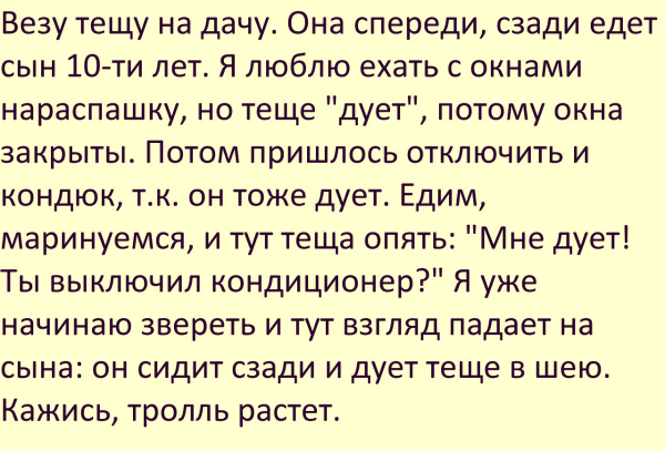 Везу тёщу на дачу. Она спереди, сзади едет сын 10-ти лет...