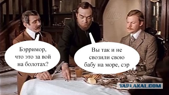 Скотсети и прочие интернеты