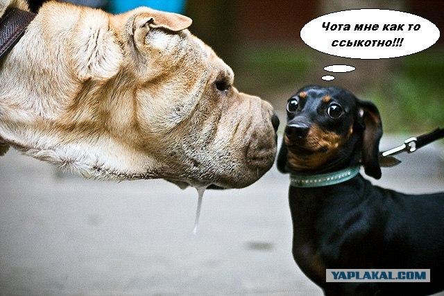 Встреча