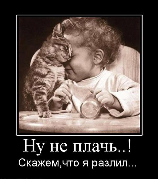 Котовторник 15.02.2011