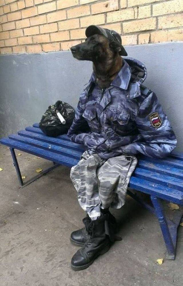 Не самый лучший день