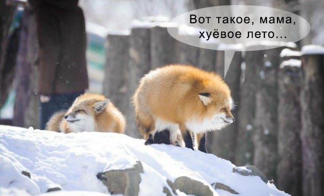 Подборка интересных и веселых картинок 02.04.19