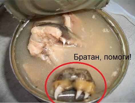 Доширак нервно курит в сторонке