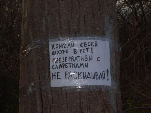 Юмор на любителя