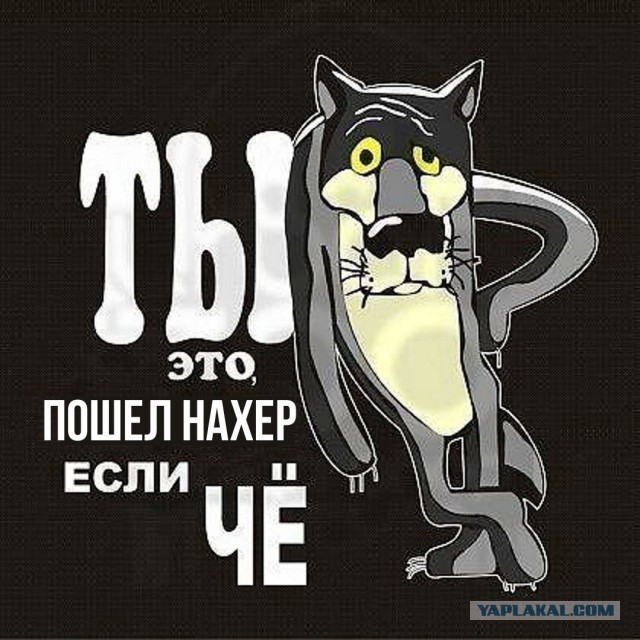Панин заявил, что ноги его не будет в России