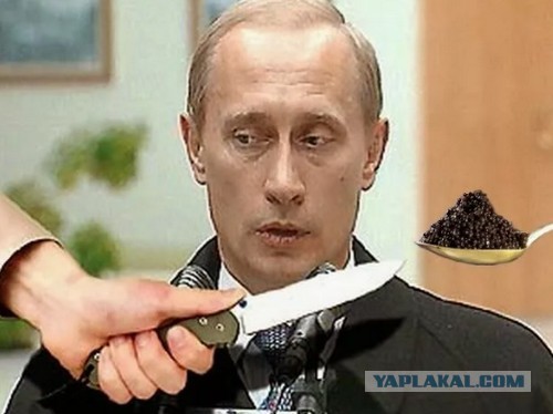 Будете сажать картошку в этом году?