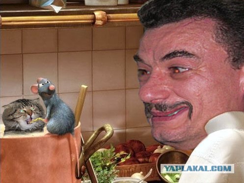 Злой кот
