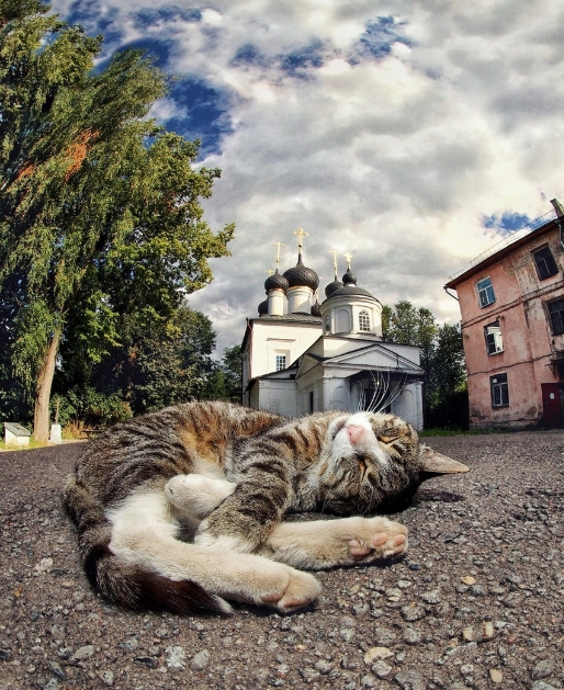 Еще пару слов о натахах