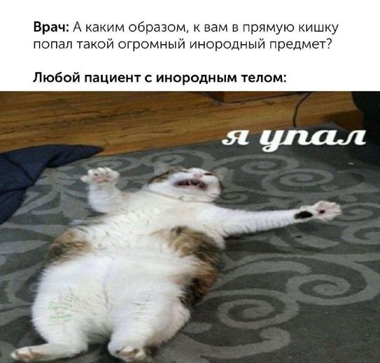 История о контрабандисте, которого выдала «странная походка»