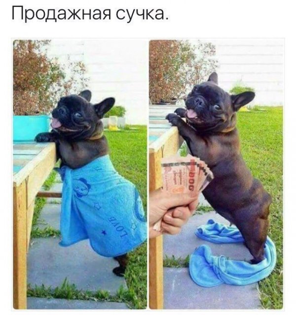 Бредзона 03.11.2020