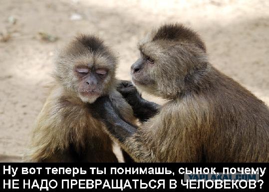 История Вселенной за 10 минут.