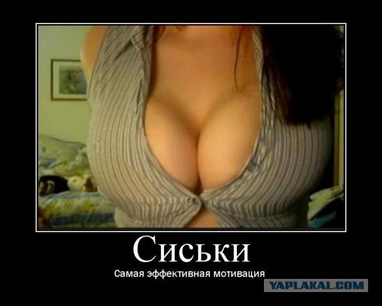 Охота на педофилов