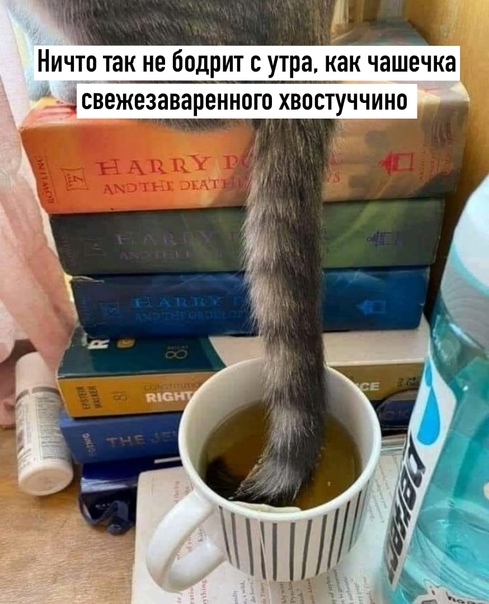 Картинки и мемы для настроения 029