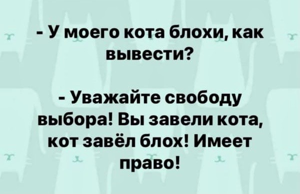 Юмор и прикольные картинки
