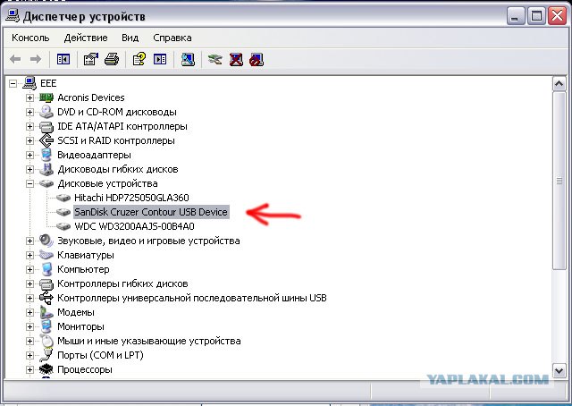 Ловим вирусы