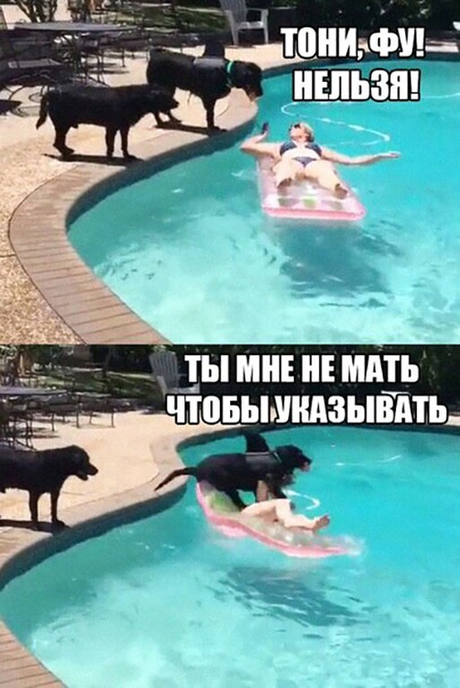 Баянисто-небаянистый юмор 17.11.21