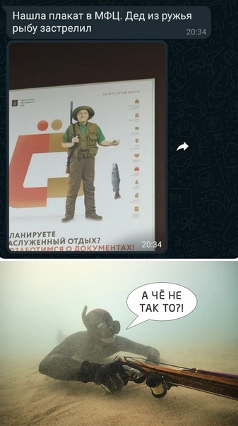 Всяческие картинки 02.02.2022