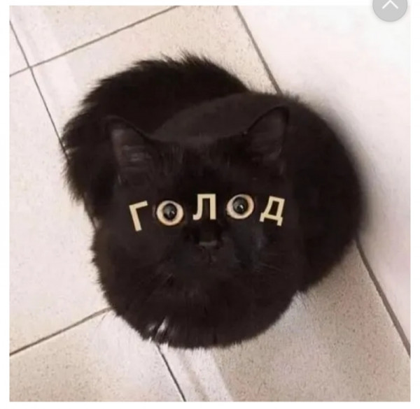 Просто картинки 15.03.2022