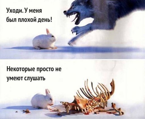 Так себе картинки 29.05.22
