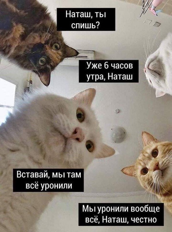 Вопрос к мужчинам