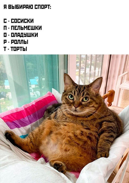 Весёлый полтишок 02.06.23