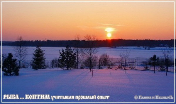 Рыба ... коптим ...