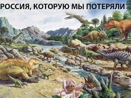 За «вызывающий» внешний вид участник СВО получил замечание от менеджера московского мебельного магазина