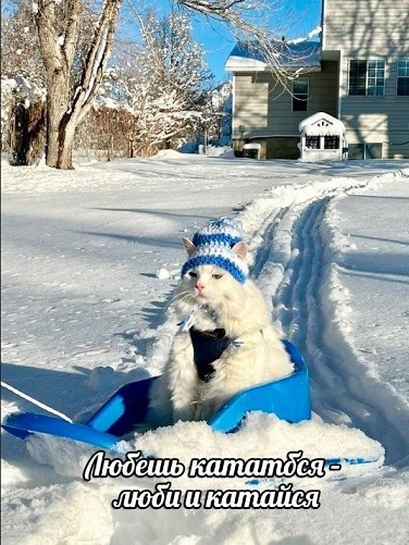 На первое время