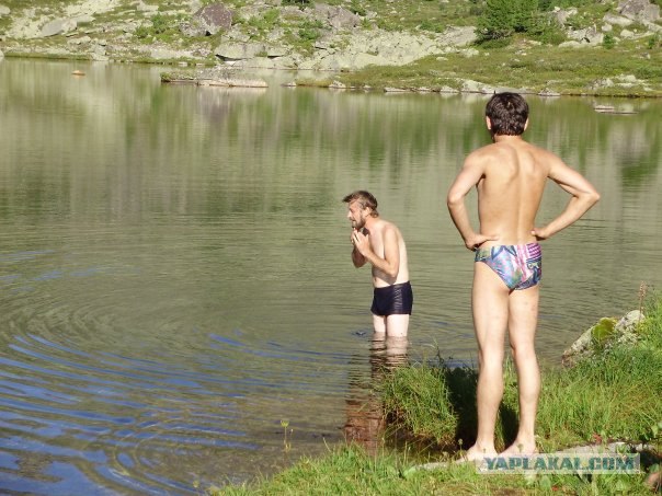 Дикие фото из социальных сетей