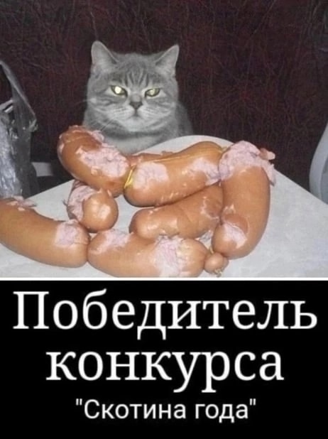 Так себе картинки 10.01.25