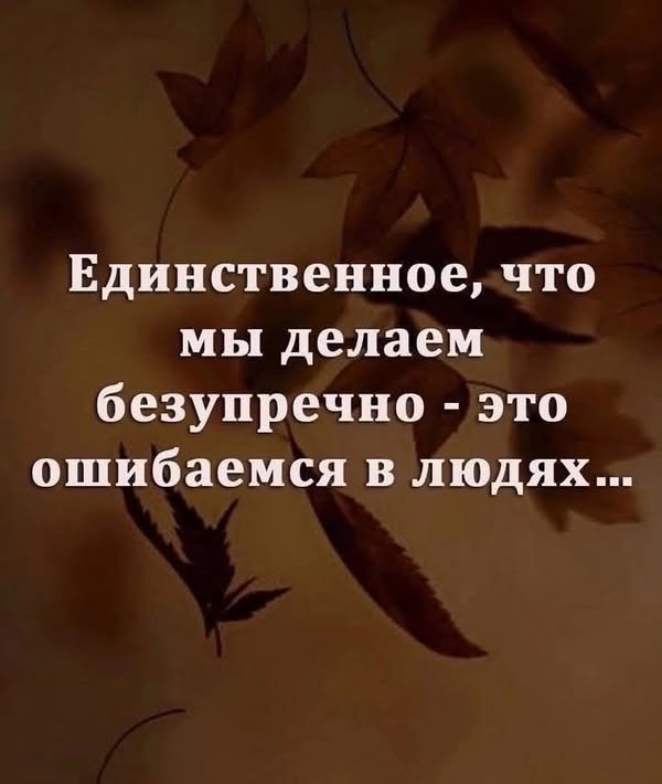 Всего понемногу. От 20.01.2025