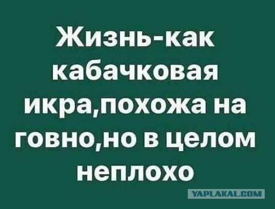 30 картинок на субботу
