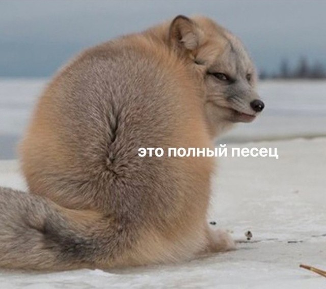 Хватит уже крутить коллайдер! В Новосибирске выпал снег